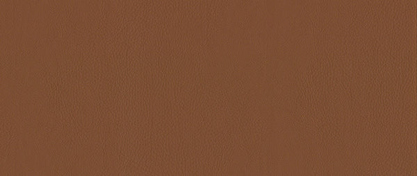 Reimo Kunstleder Santiago cog6m - 510430 | Stahlor image 1