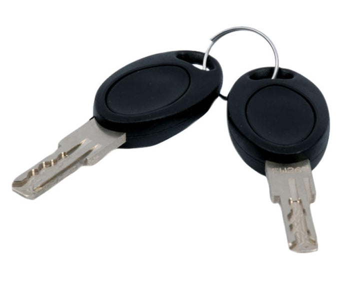 Key HSC-system, FW 484, 2 pieces