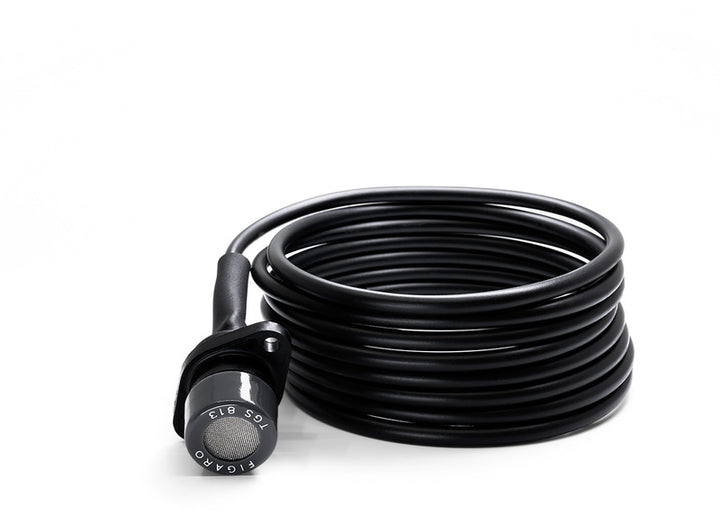 Gas warning additional sensor G.A.S. - Pro