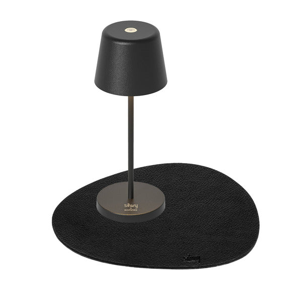 MONACO magnetic light