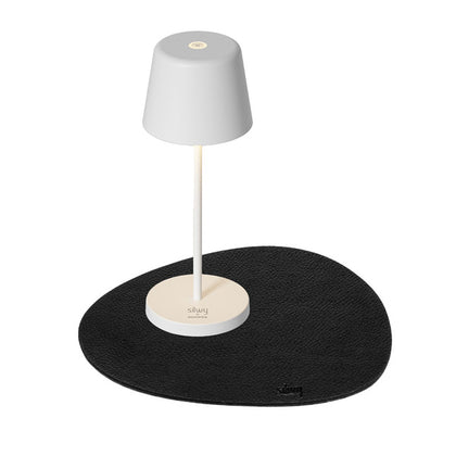 MONACO magnetic light
