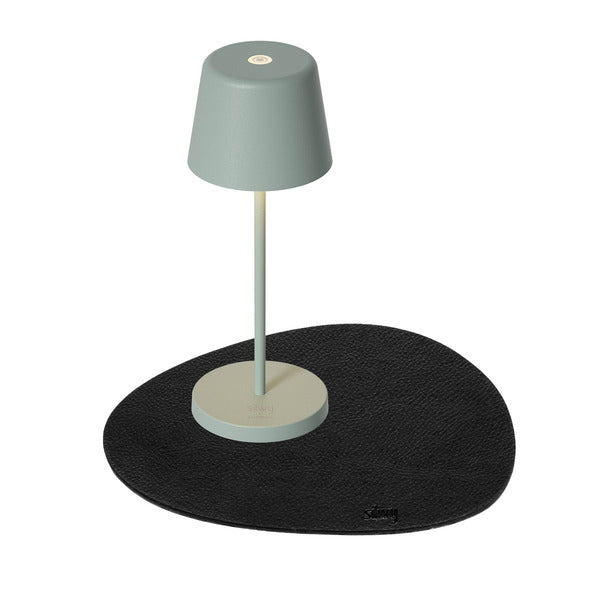 MONACO magnetic light