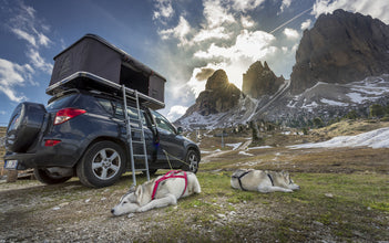 AUTO AUTOHOME 1.0 Hard shell roof tent - Carbon fabric - Black shell - Medium - 900657 | Stahlor image 4