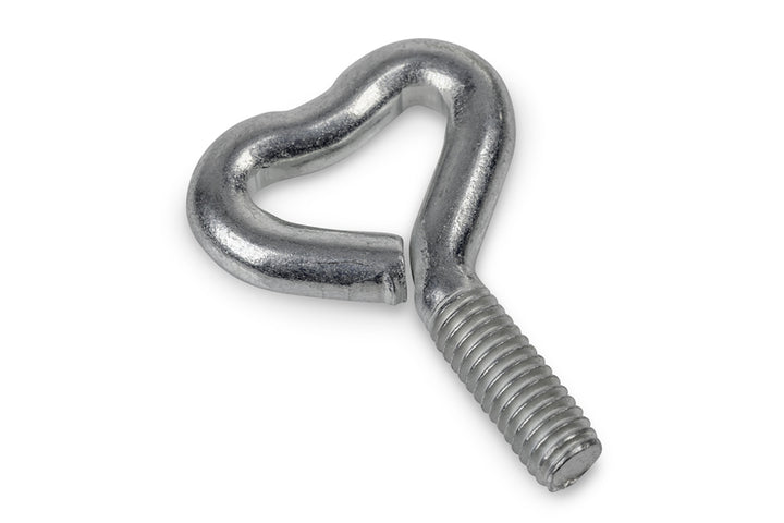 Screws M6 10 pieces