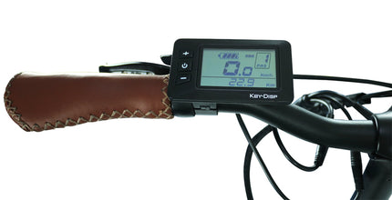 BLAU Blaupunkt City e-bike foldable 