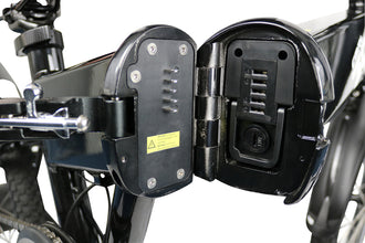 BLAU E-Bike CARL 300 - 908967 | Stahlor image 3