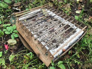 CasusGrill - The environmentally friendly disposable Grill - 916000 | Stahlor image 4