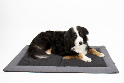 Outdoor blanket for dogs ABBY
