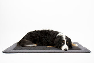 Camp4 Outdoor blanket for dogs ABBY - image 2