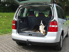 Camp4 Outdoor blanket for dogs ABBY - image 6