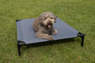 Camp4 Dog Bed with Removable Sun Canopy, 88 x 78 x 18 cm - image 4