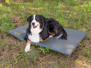 Reimo DOG PAD - Trunk support for VW California - image 2