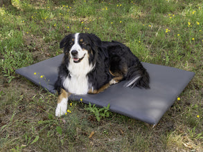 Reimo DOG PAD - Trunk support for VW California - image 3