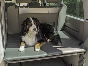 Reimo DOG PAD - Trunk support for VW California