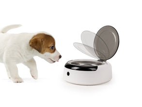 Camp4 Dog Food Bowl with Lid and Sensor - image 3