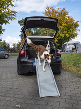 Camp4 Plastic dog ramp Emma - image 3