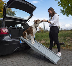 Camp4 Plastic dog ramp Emma
