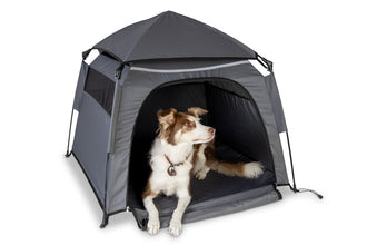 Camp4 LOTTI quick-assembly tent – lightweight and sturdy - image 3