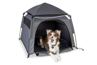 Camp4 LOTTI quick-assembly tent – lightweight and sturdy - image 4