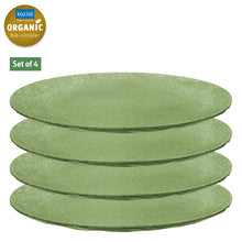Koziol flacher Teller CLUB Ø26cm, 4er-Set - - 917609 | Stahlor image 3